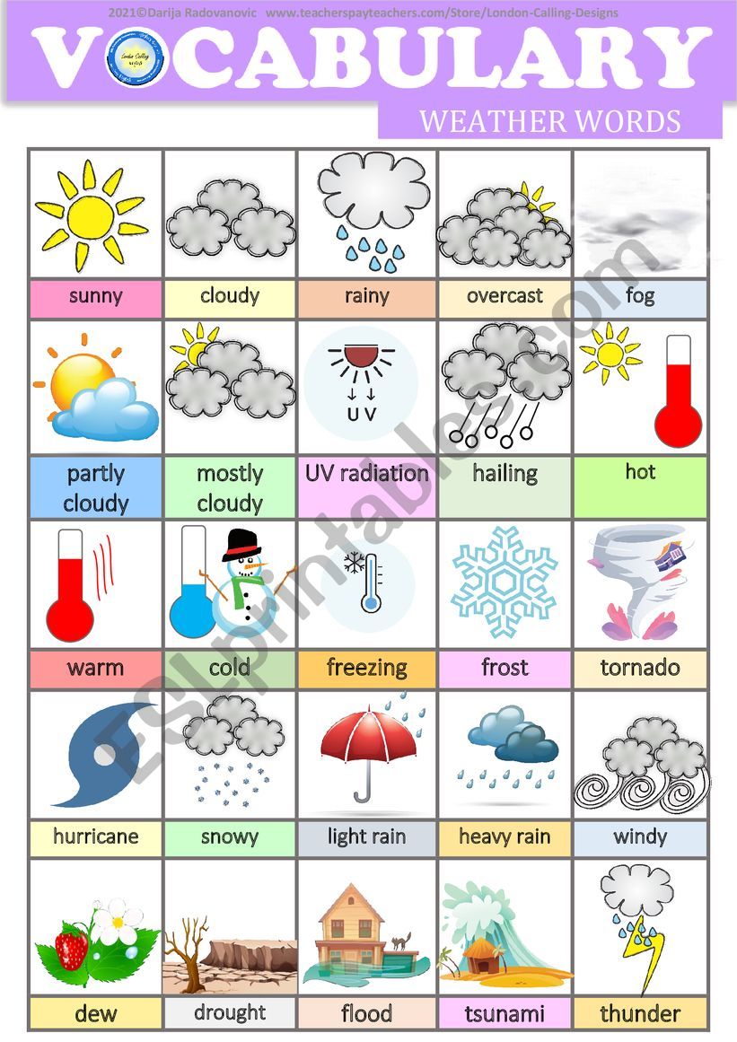 Weather Words ESL Worksheet By Dackala