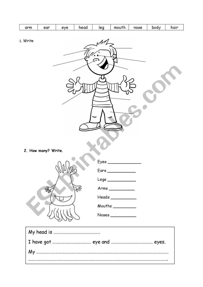 Parts of the body worksheet