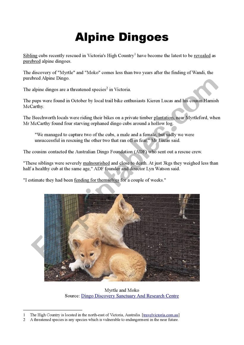 Alpine Dingoes worksheet