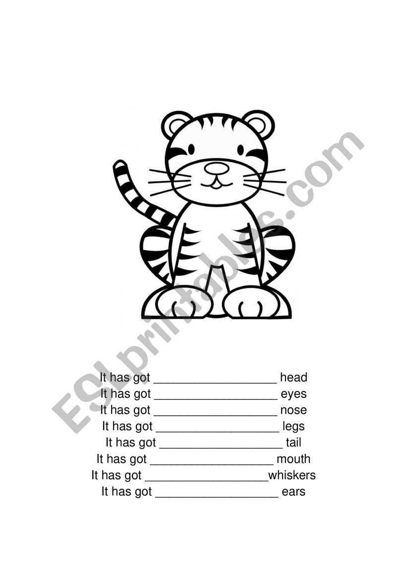 Parts of the body (te tiger) worksheet