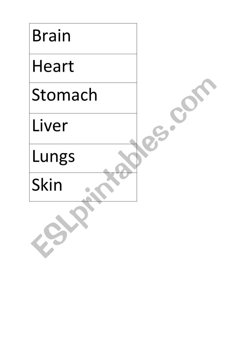 body worksheet
