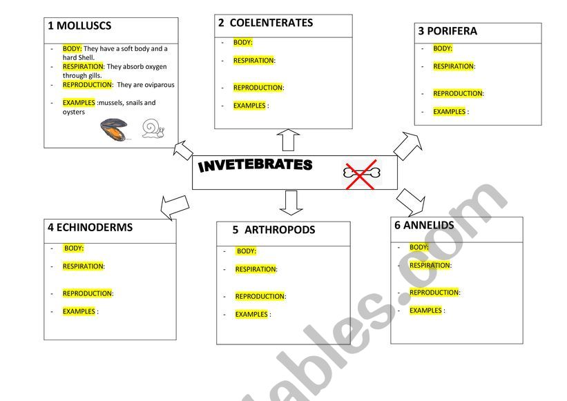 invertebrates animals diagram worksheet