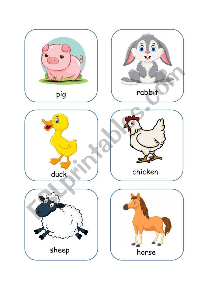 ANIMAL FLASHCARDS - Farm animals