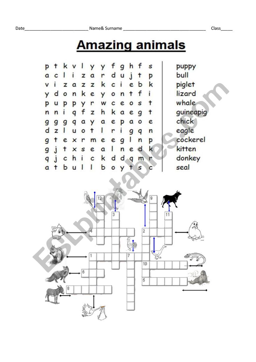 Animal wordsearch and crossword