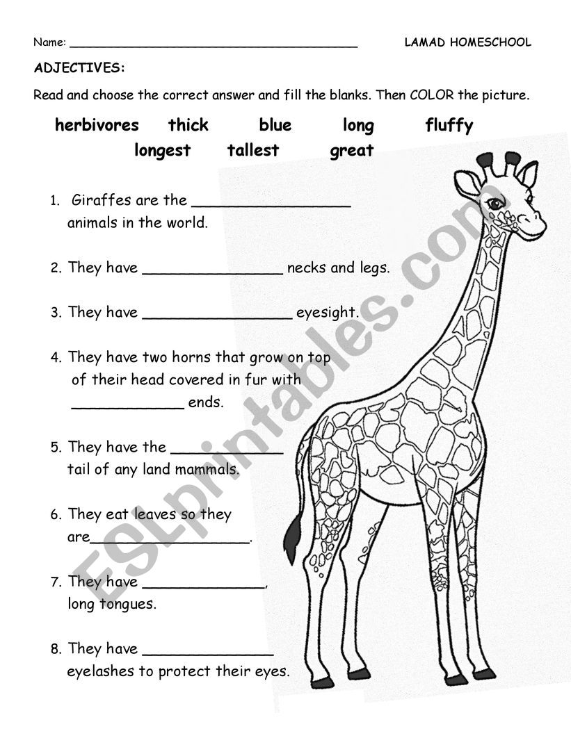 Adjectives worksheet