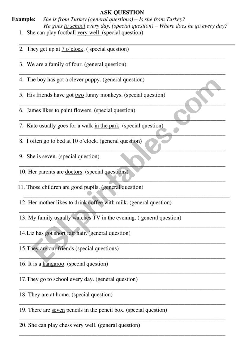 General and Special Questions worksheet