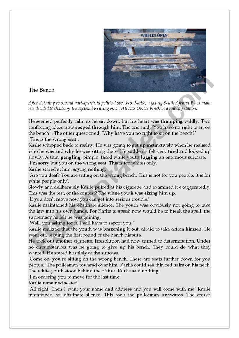 The bench by Richard Rive  worksheet