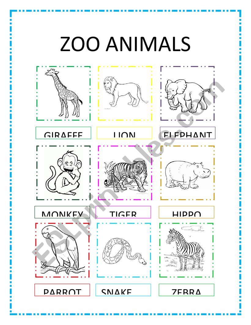 Zoo Animals - ESL worksheet by ruxa80