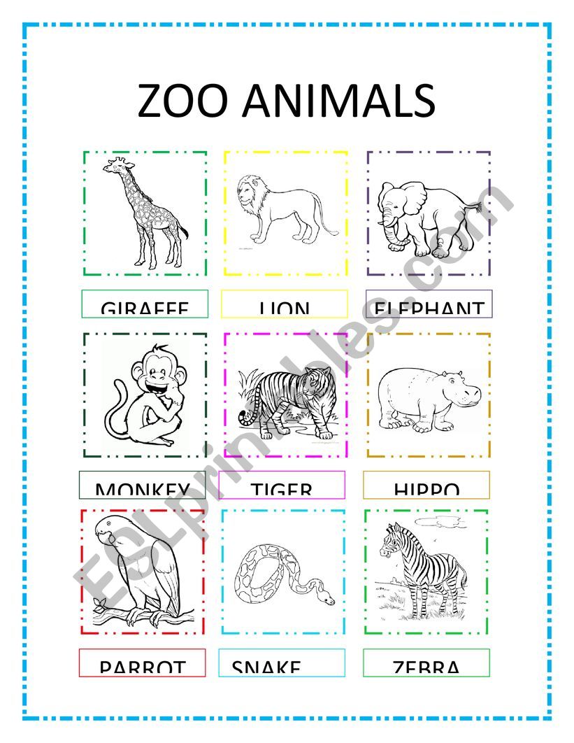 Zoo Animals worksheet