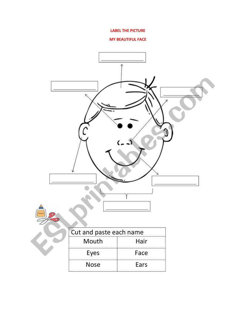 face parts worksheet