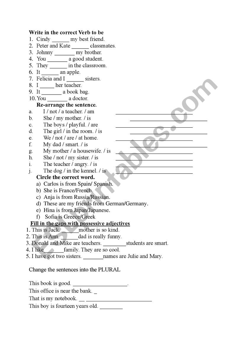 test worksheet