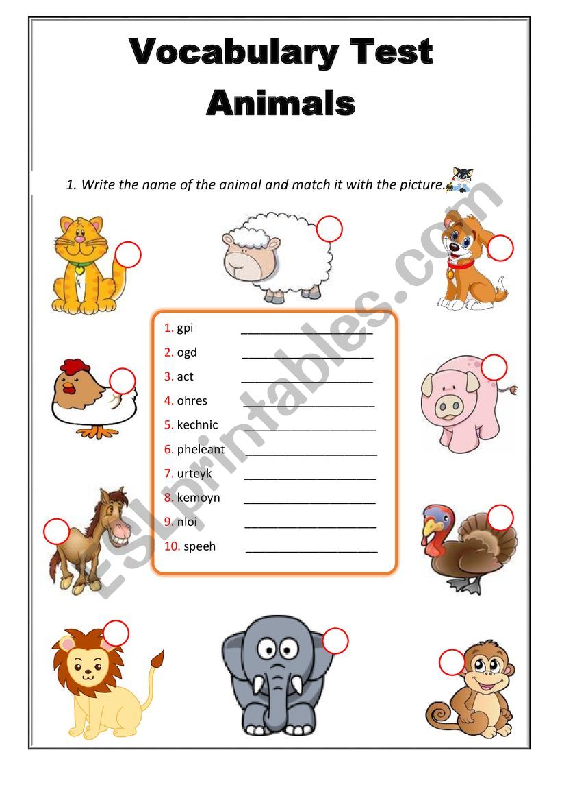 Animals worksheet