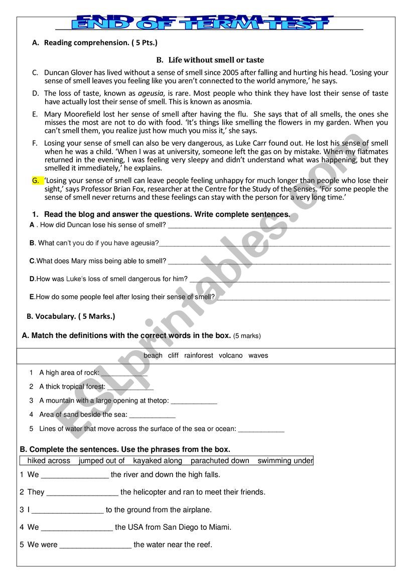 end of term test worksheet