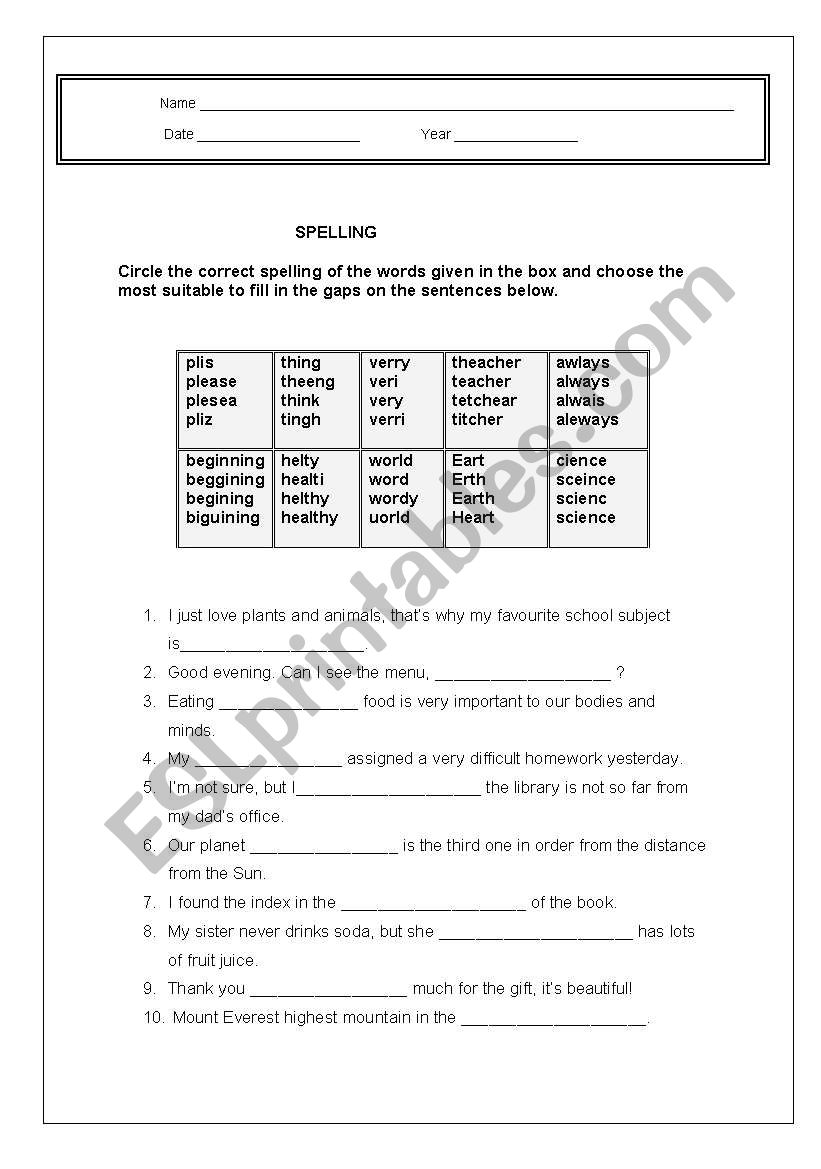 spelling worksheet