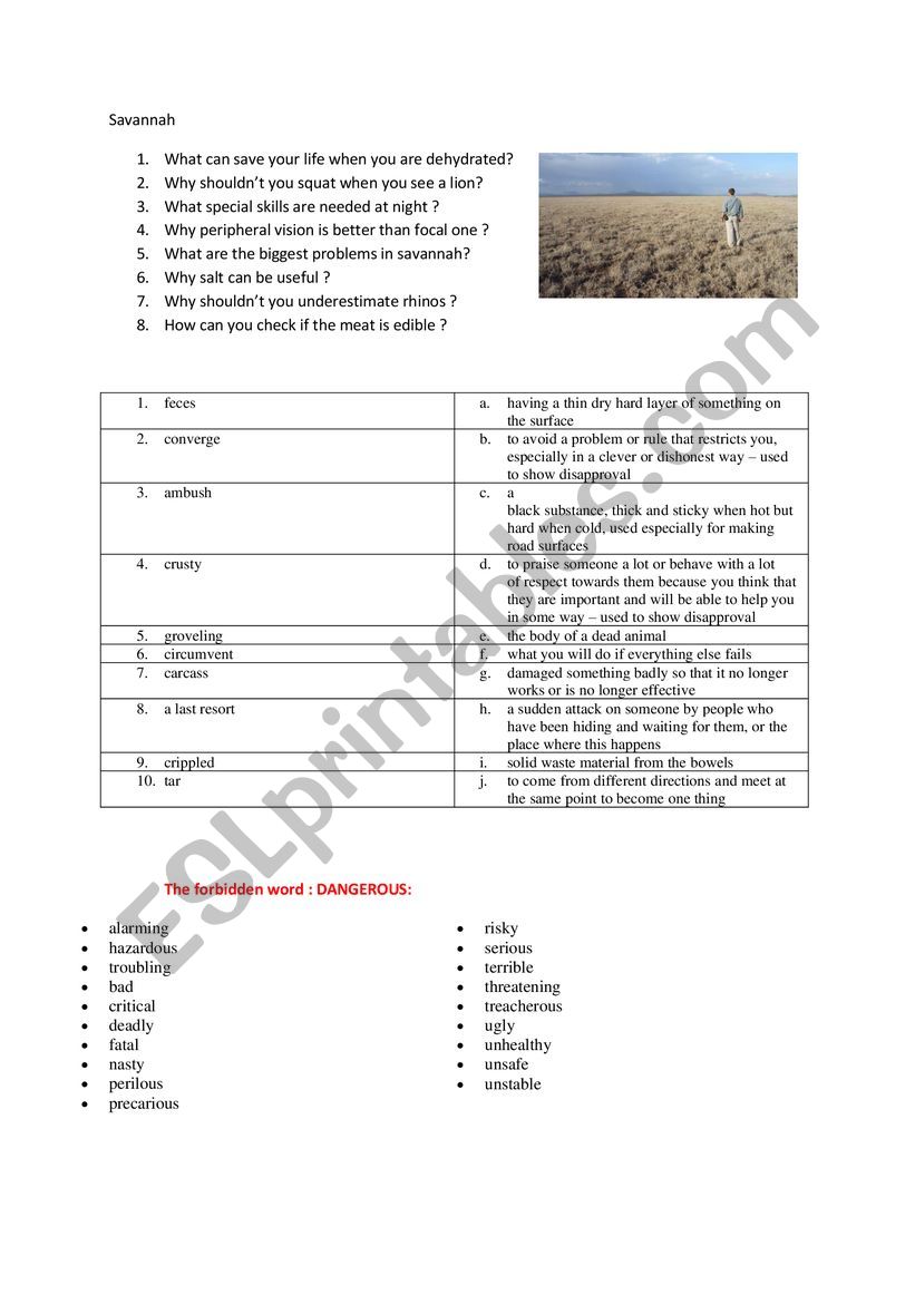 Savannah worksheet