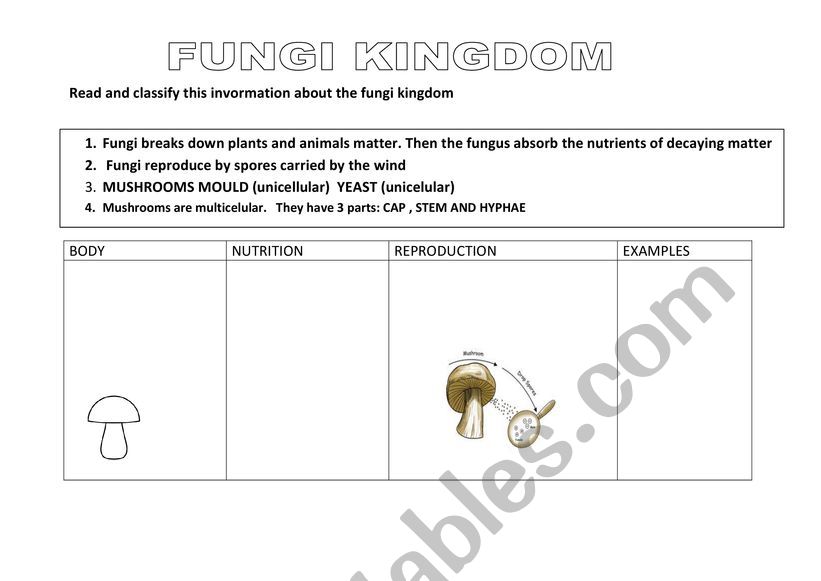 FUNGI KINGDOM worksheet