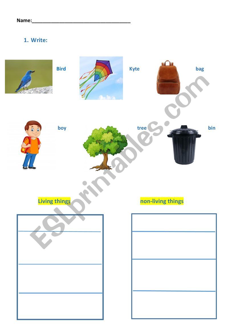 living-non living things worksheet