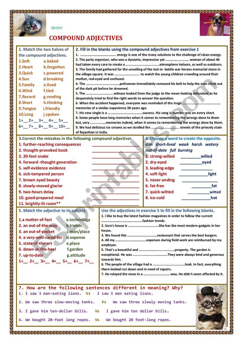 MORE COMPOUND ADJECTIVES worksheet