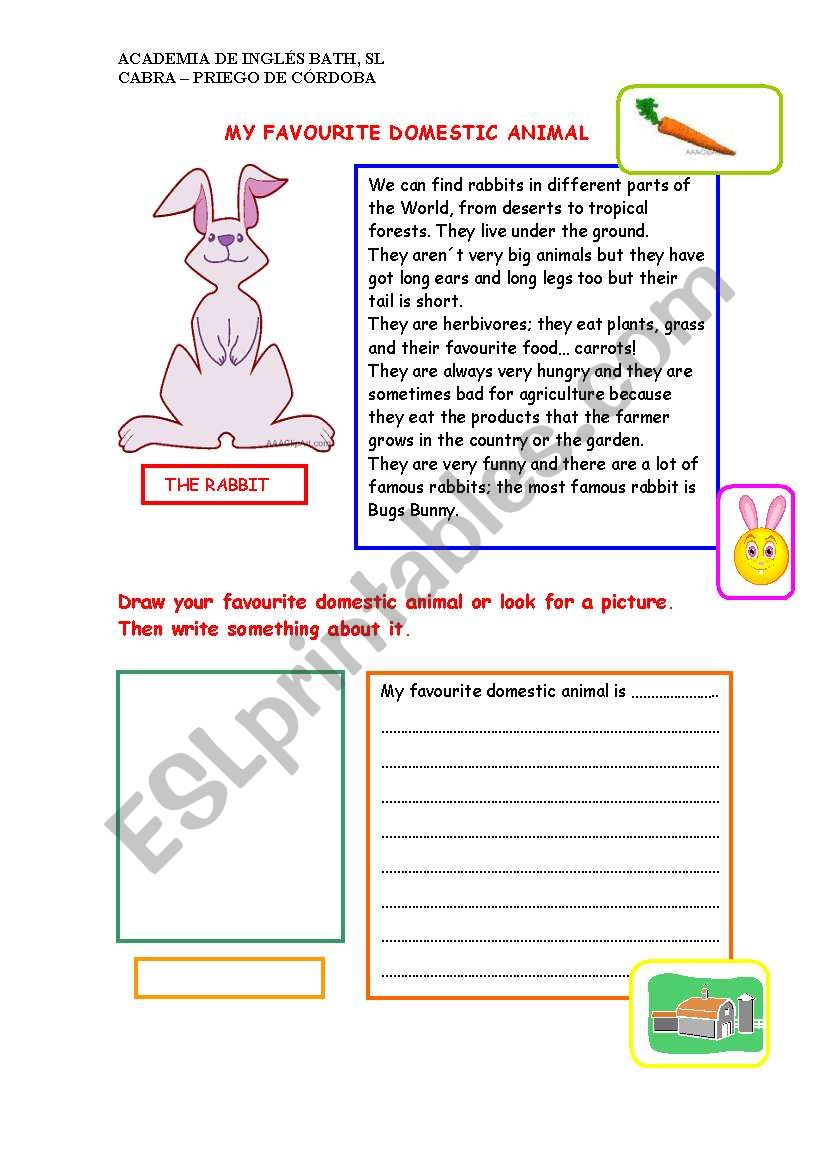 My favorite domestic animal worksheet