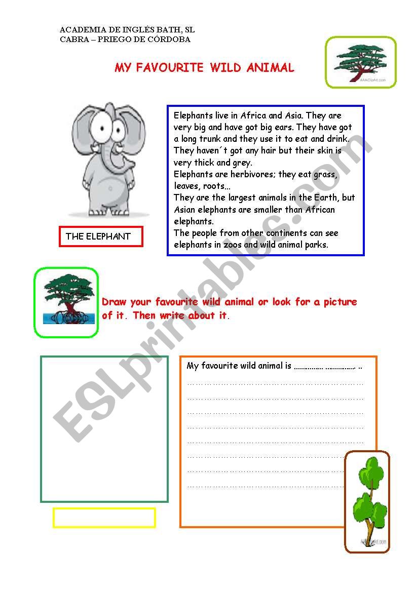 My favourite wild animal worksheet