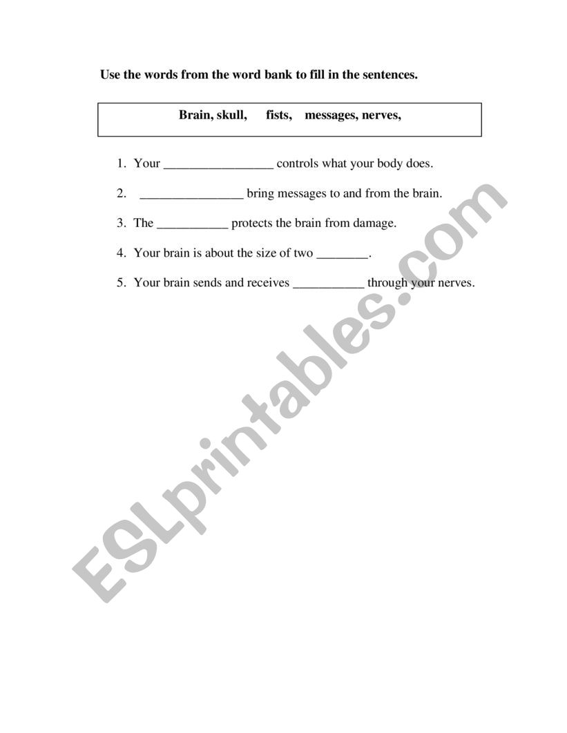 The brain worksheet