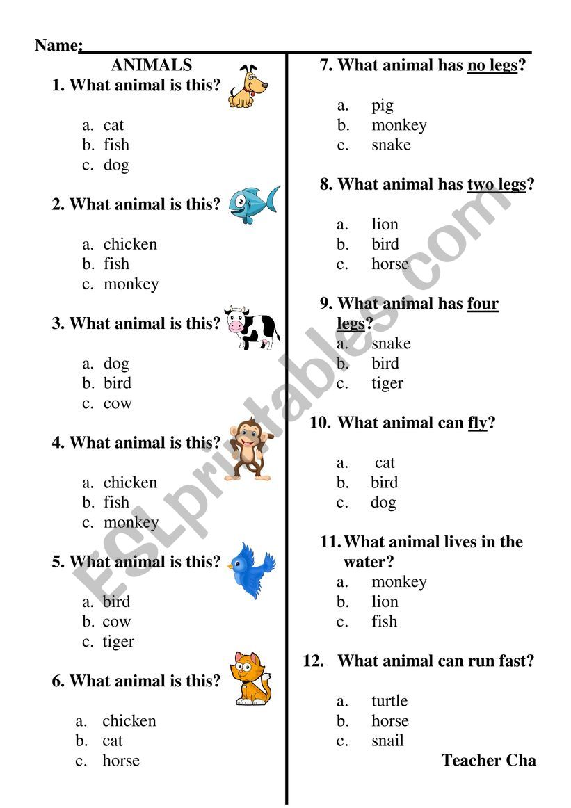 Animals worksheet