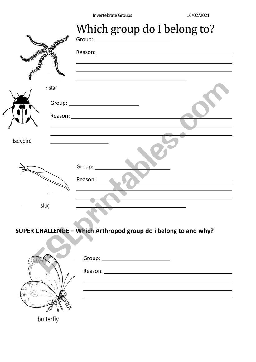 Starter animal matching ESL worksheet