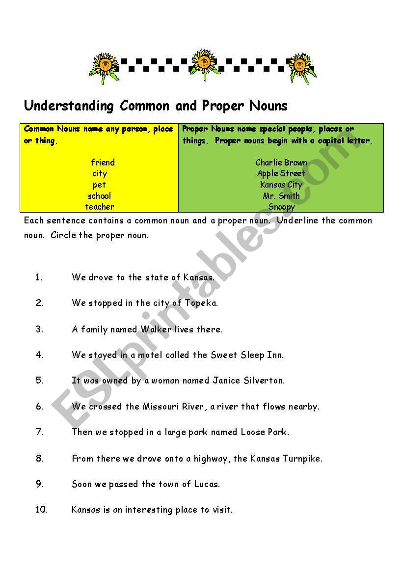 Understanding Common and Proper Nouns