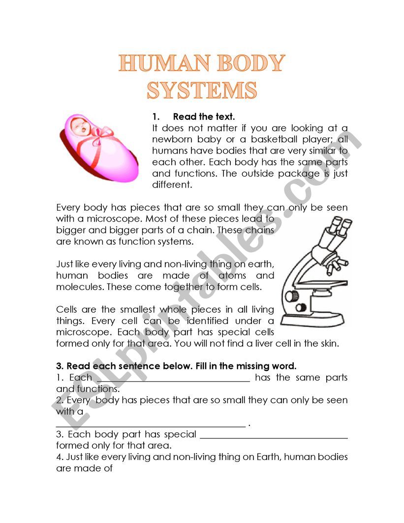 HUMAN BODY SYSTEMS READING COMPREHENSION