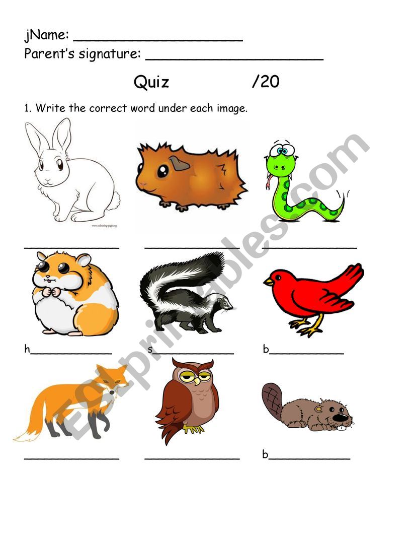 Animals worksheet