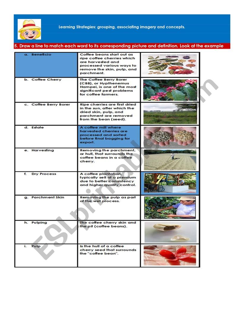 Coffee_Colombia_Learning_Strategies