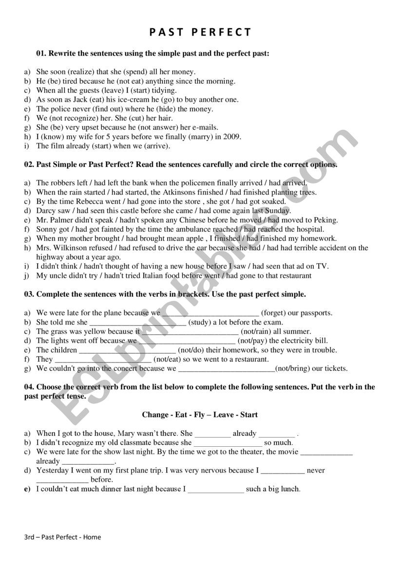 Past perfect activity worksheet