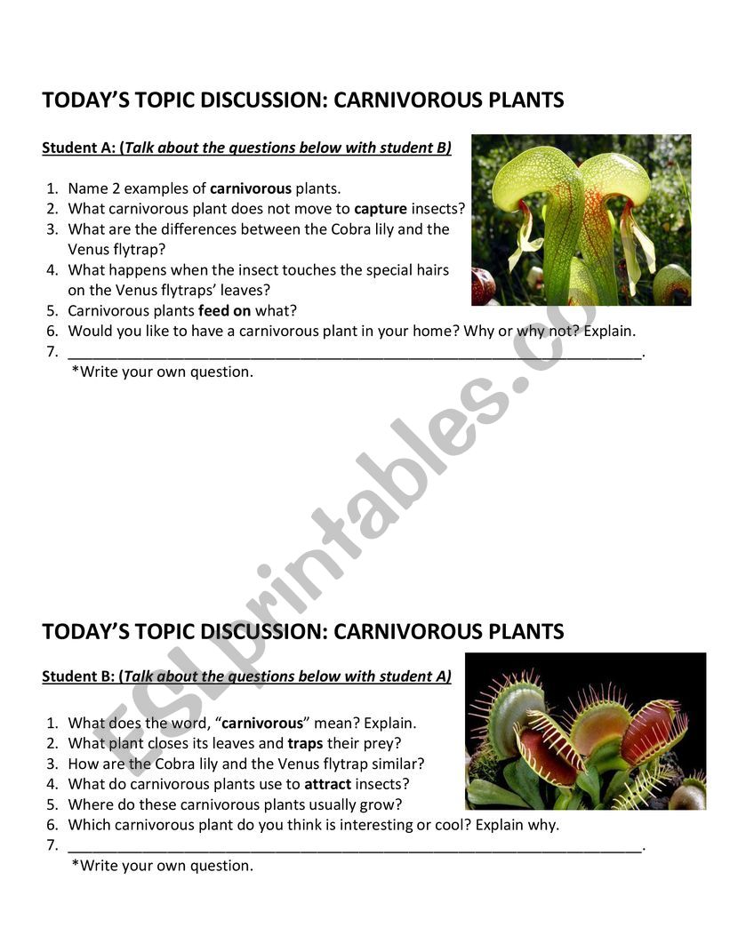 Carnivorous Plants Discussion Questions