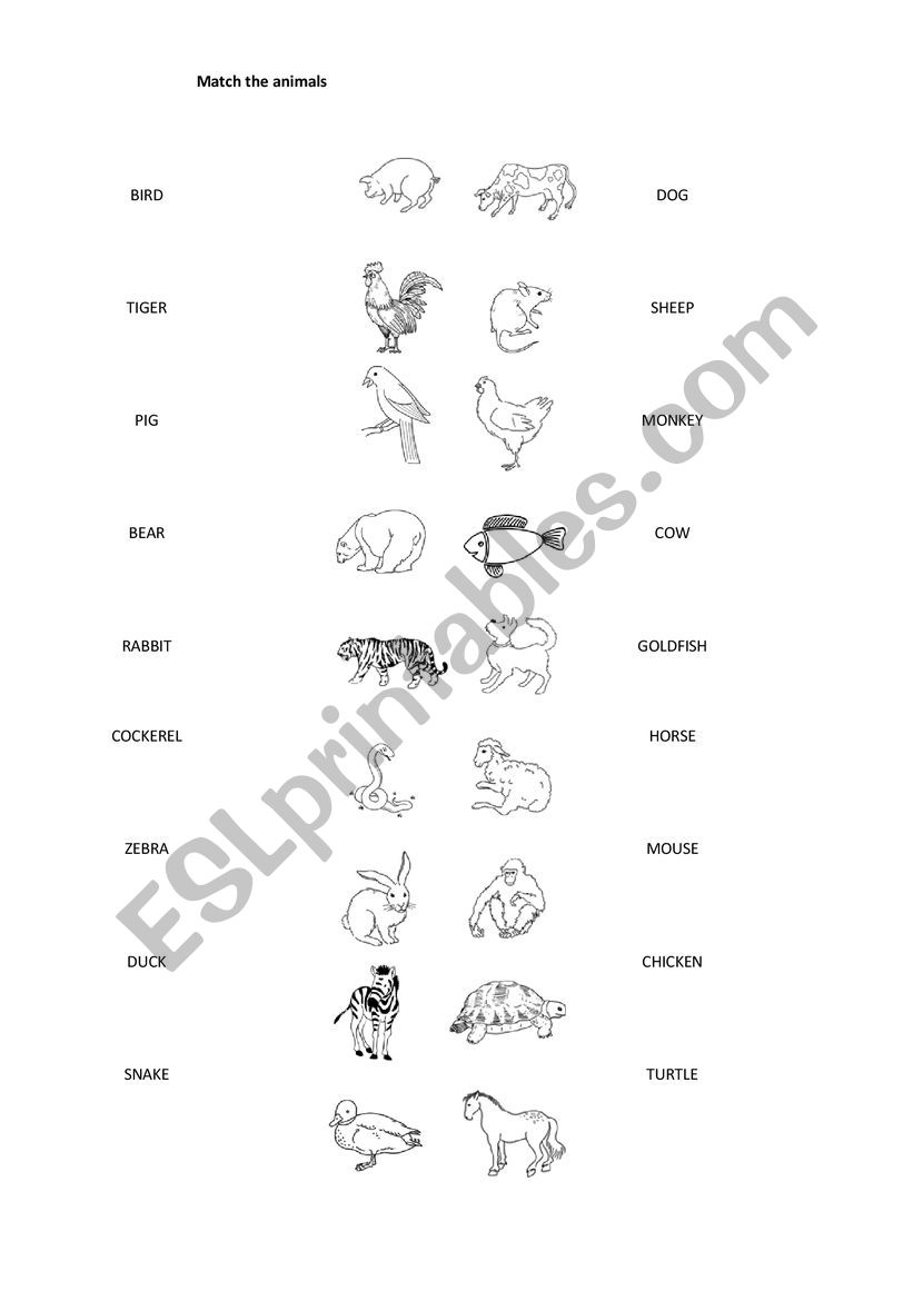 ANIMALS worksheet