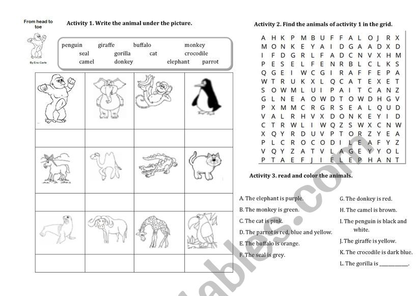 From Head to Toe worksheet