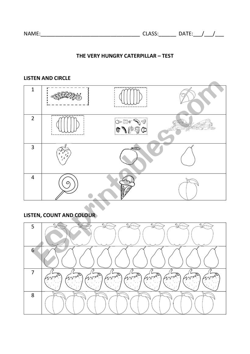 The very hungry caterpillar  worksheet