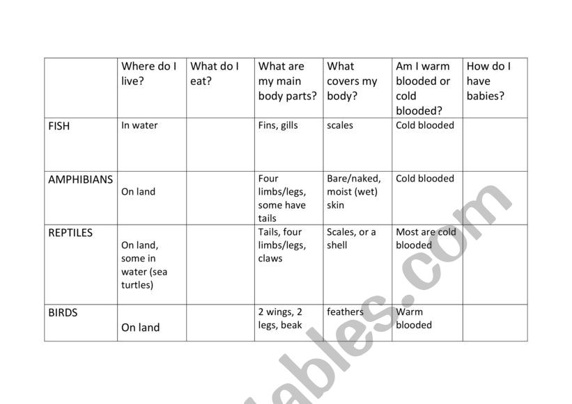 CLIL Vertebrate Characteristic Chart