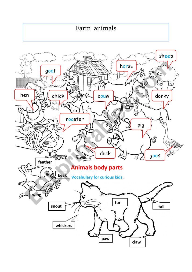 FARM ANIMAL worksheet