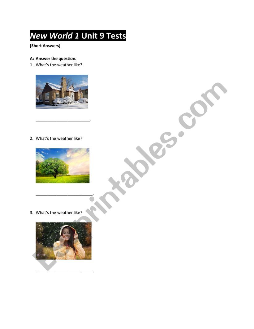 present continuous worksheet