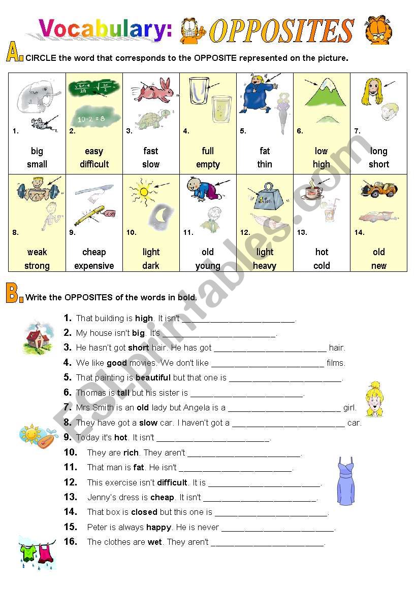 Opposites worksheet