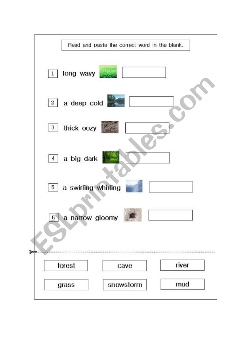bear worksheet