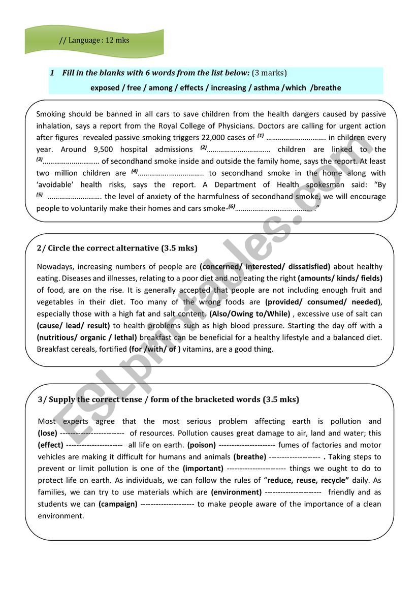 mid semester test  worksheet