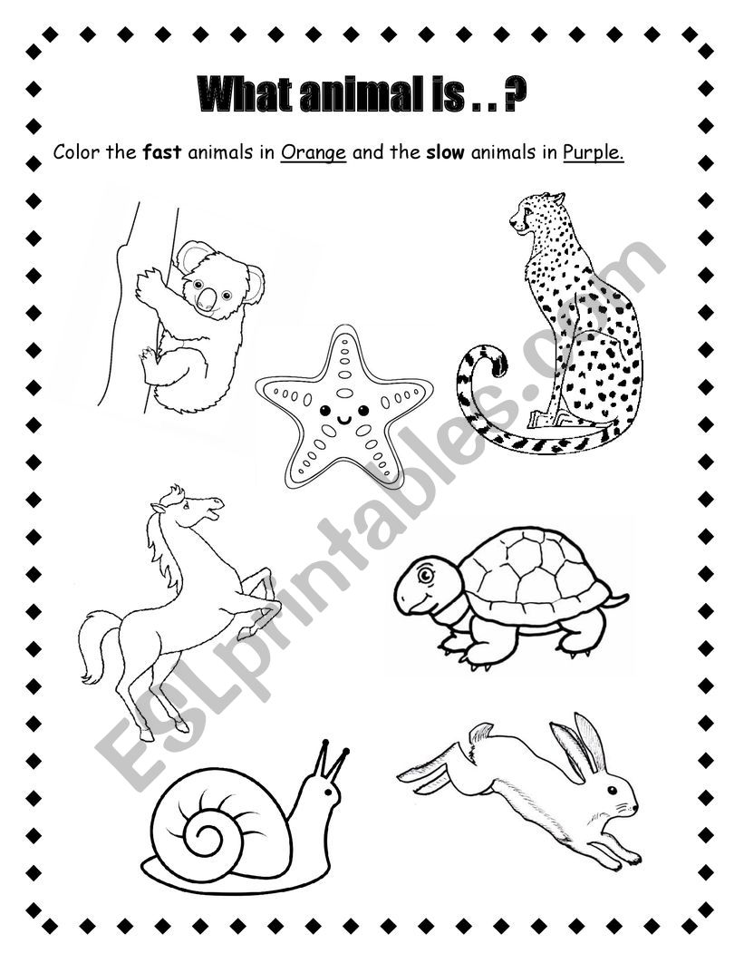 Slow and fast animals worksheet