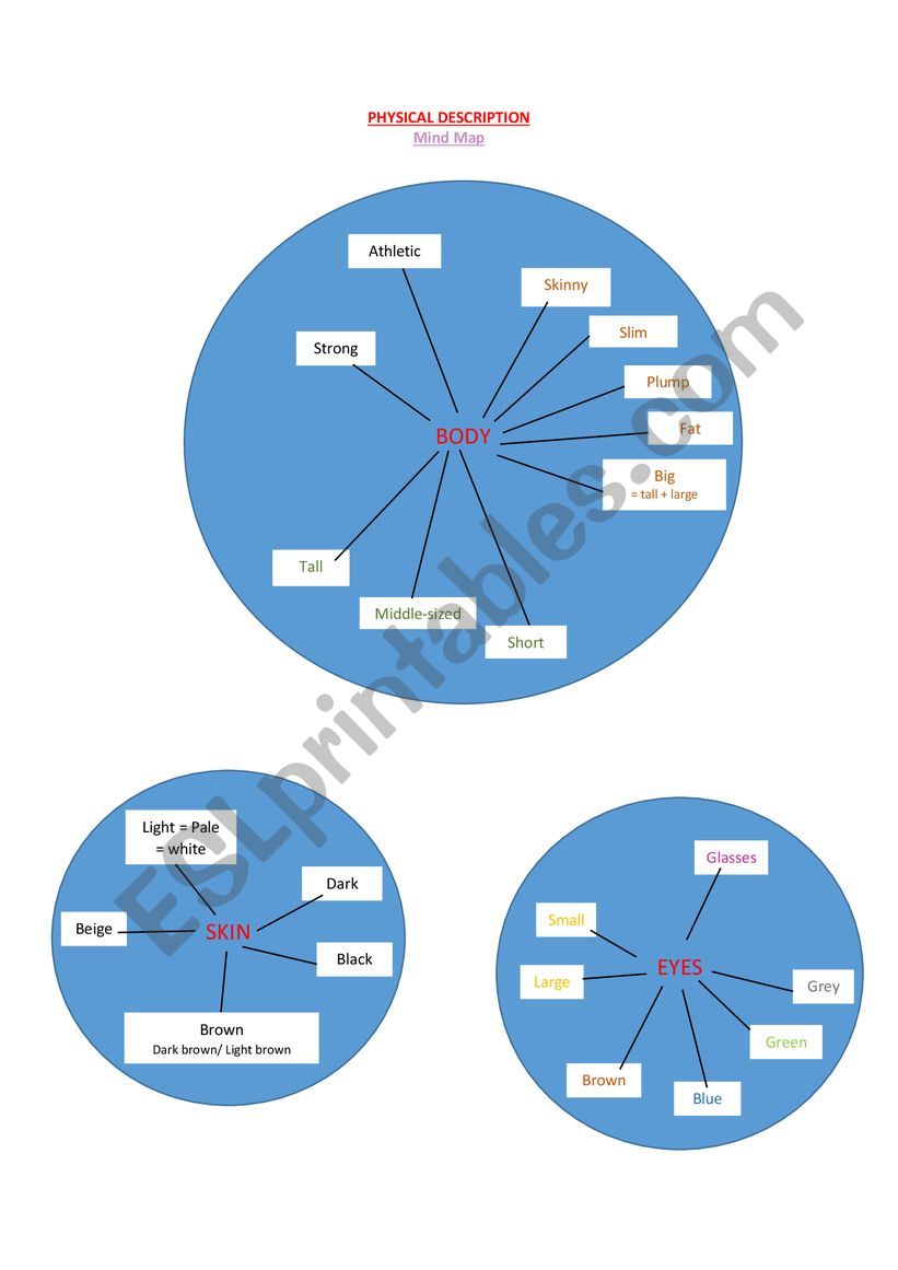 Physical description Mind Map worksheet