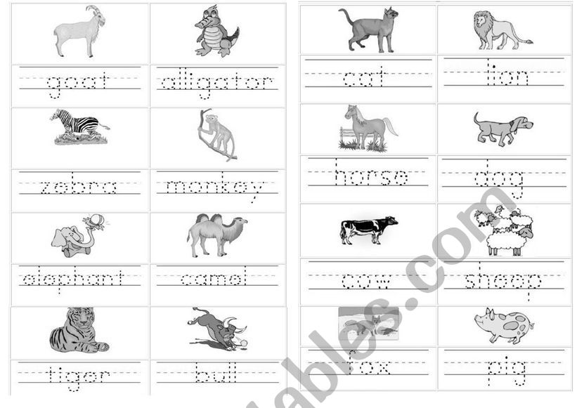 Trace these animals names and trace the sentences - ESL worksheet by  scorpi1991