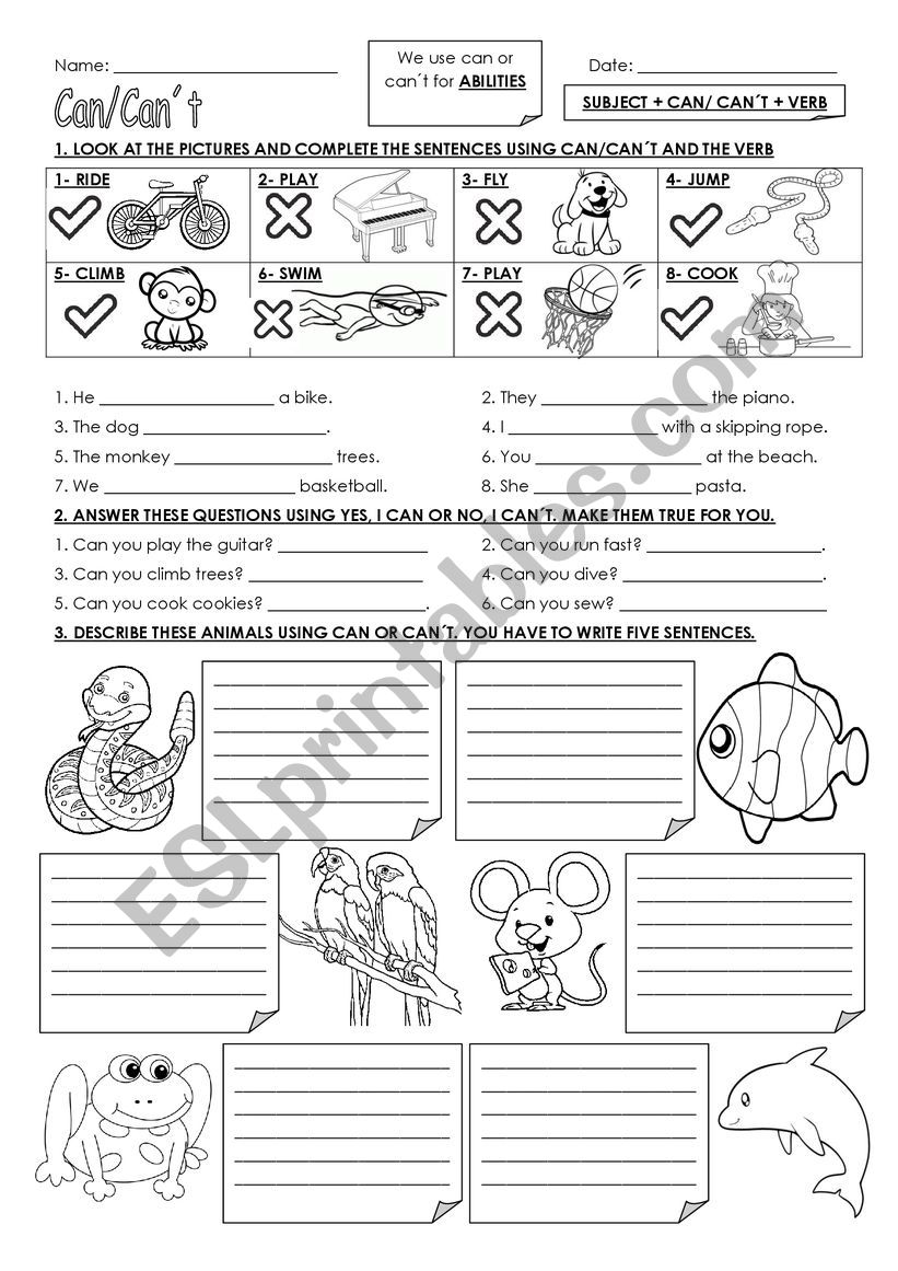 Can/ Cant worksheet