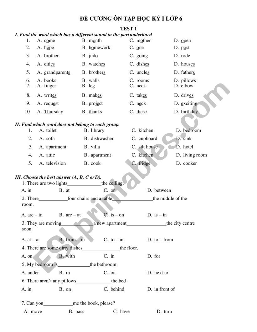 grammar worksheet worksheet