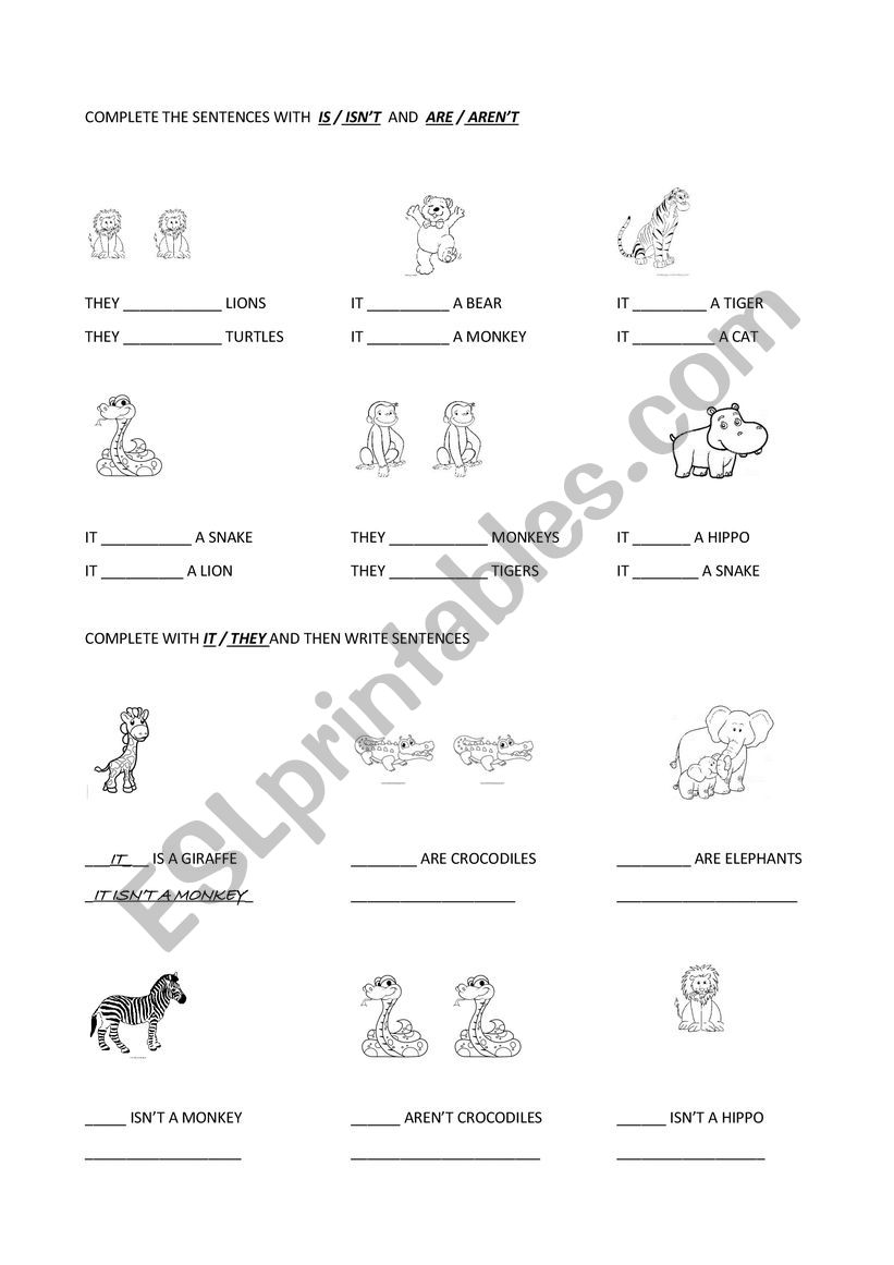 verb to be with animals worksheet