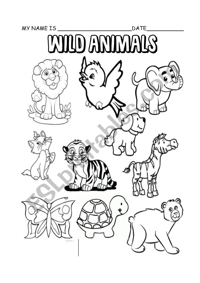 Wild Animals worksheet