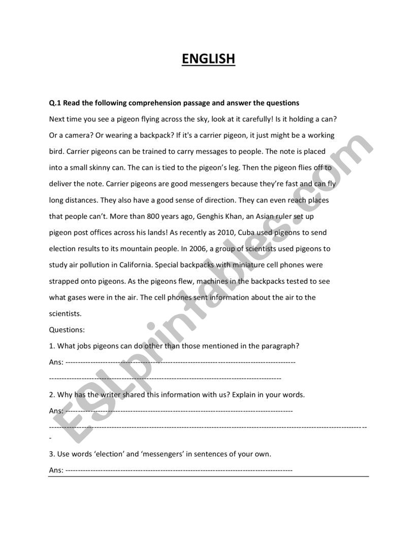 English paper worksheet